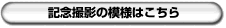 �L�O�B�e�̖͗l�͂�����