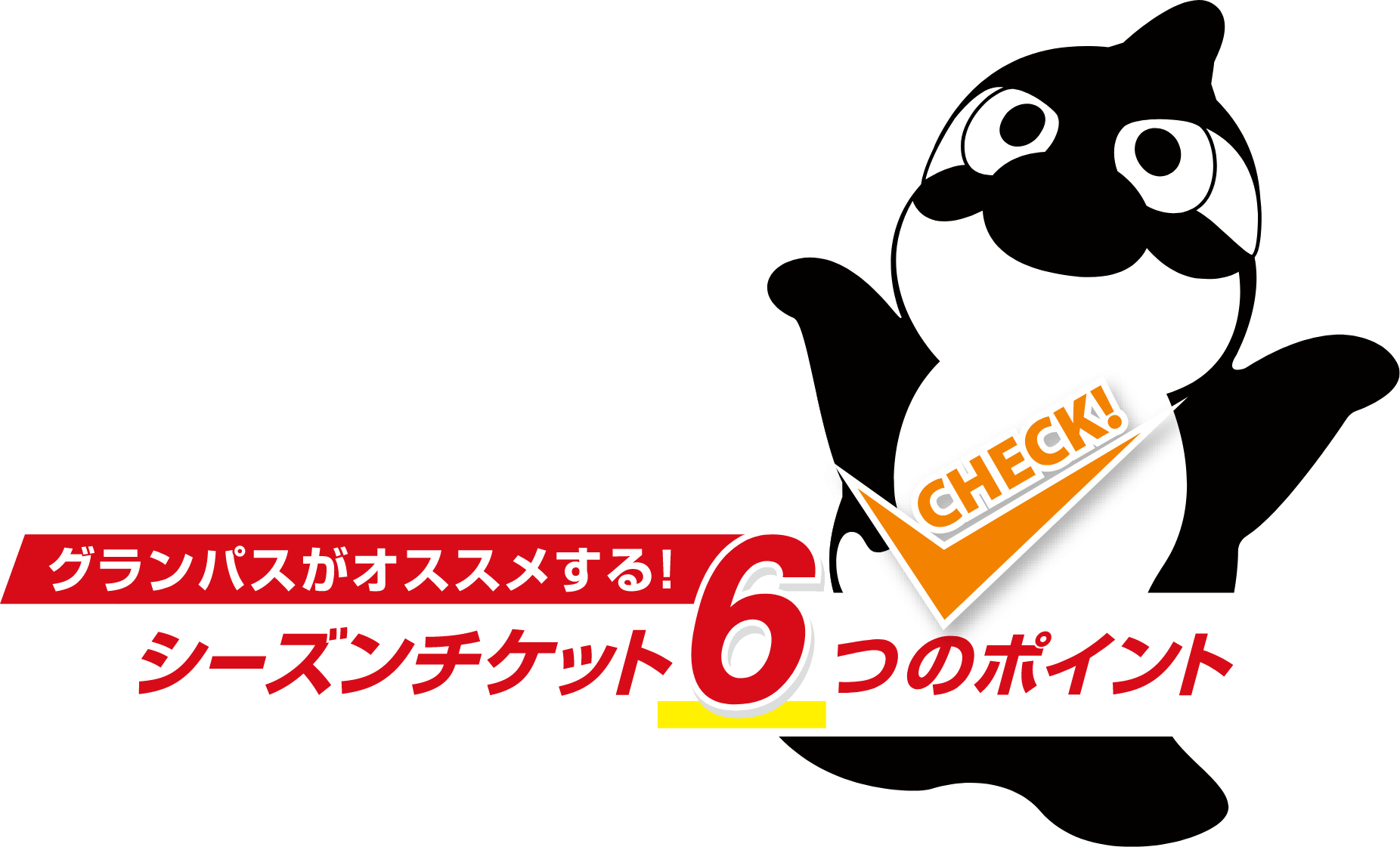 シーズンチケット6つのポイント