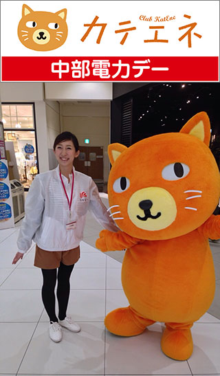 150418cat.jpg