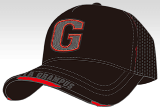 160508-goods-2.png