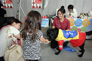 160618dog.jpg